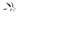 Collector Figures