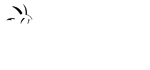 Collectorlog